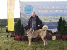 Kangal / Kangalský pastiersky pes