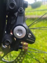 Wheeler Carbon