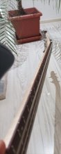 Cort Action Bass V