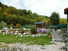 Bystra ,Tale - dom s objektom a pozemkom
