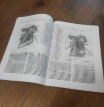 Pitevné cvičenia od autora P. Mráza