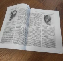Pitevné cvičenia od autora P. Mráza