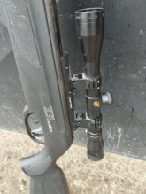 Gamo replay 10igt