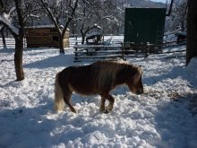 Praca na malej Farme  / Bezova pod Bradlom