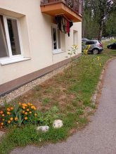 Brezno , 2 izbový byt 50m2