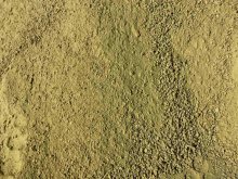 Sójové jedlo (Soybean meal)