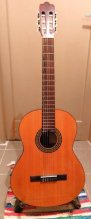 Gitara Hawthorne Walden