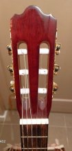 Gitara Hawthorne Walden