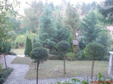 Predaj STP /900 m2/ v Dúbravke