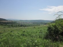 Ponukame na predaj pozemok v obci Sokoľ