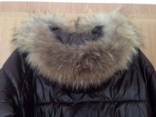 Nadherna znackova bunda MONCLER.