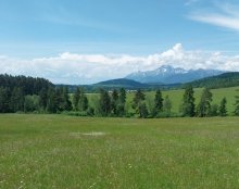 Pozemky s výhľadom na Tatry pod Magurou