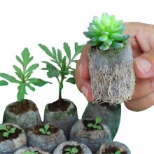 Sáčky na sadenice - planty - 25 kus