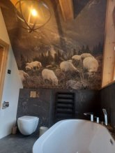 Renovačné a dokončovacie služby