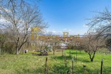 2 rekreačné pozemky s vinicou a chatkou