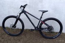 Kellys Gibon 10
