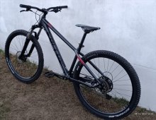 Kellys Gibon 10