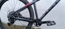 Kellys Gibon 10