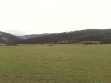 Predám pekný rovinatý pozemok-(Radobica)