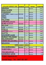 Vinič, viničné štepy