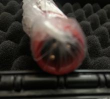 MXL 551 – štúdiový kondenzátorový mikrofón – fotografia 2