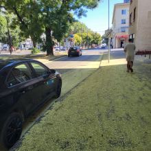 MILETIČOVA – TRENČIANSKA │ PRIESTRANNÝ 1-IZBOVÝ BY – fotografia 6
