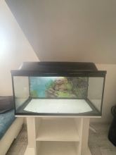 Akvárium 100 l + skrinka + filter Eheim + ohrievač – fotografia 5
