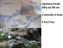 Vianočné ozdoby