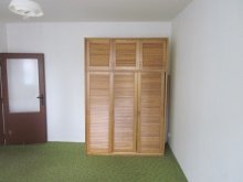 Prenajom 1-izboveho bytu Tr. SNP - Košice - Terasa