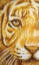 Obrazy z jantáru
